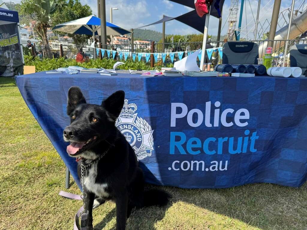 Image of the QPS Recruiting table and a QPS dog