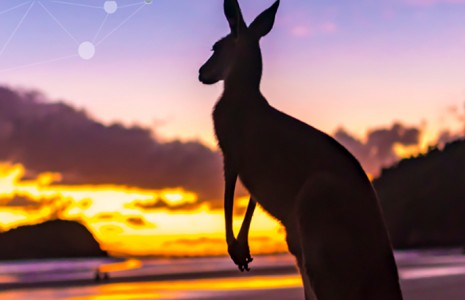 A silhouette of a kangaroo on a beach with the sunrise in the background..
